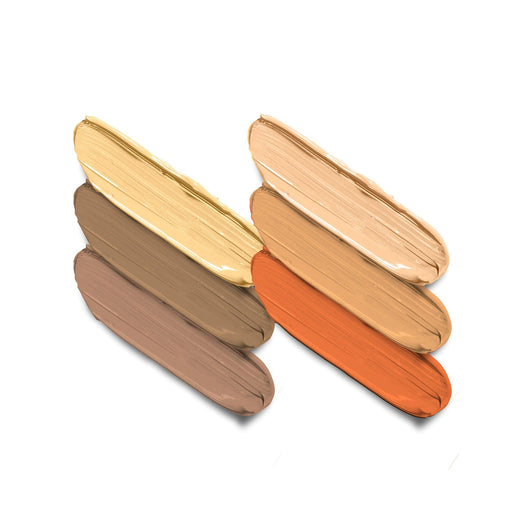 Swiss Beauty On The Move Concealer Palette 02 Medium Beige|7 gms|MRP 299
