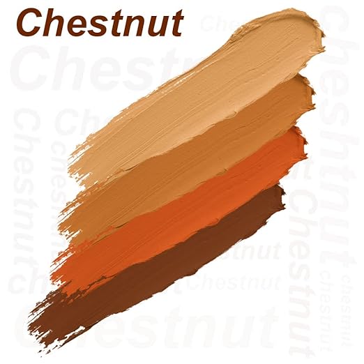 Daily Life Forever52 4 Color Concealer Chestnut | Creamy Full Coverage Makeup 12gm