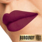 Lakmï¿½ Absolute Beyond Matte Lipstick ï¿½ Burgundy Boss 501|3.4 gms|MRP 825