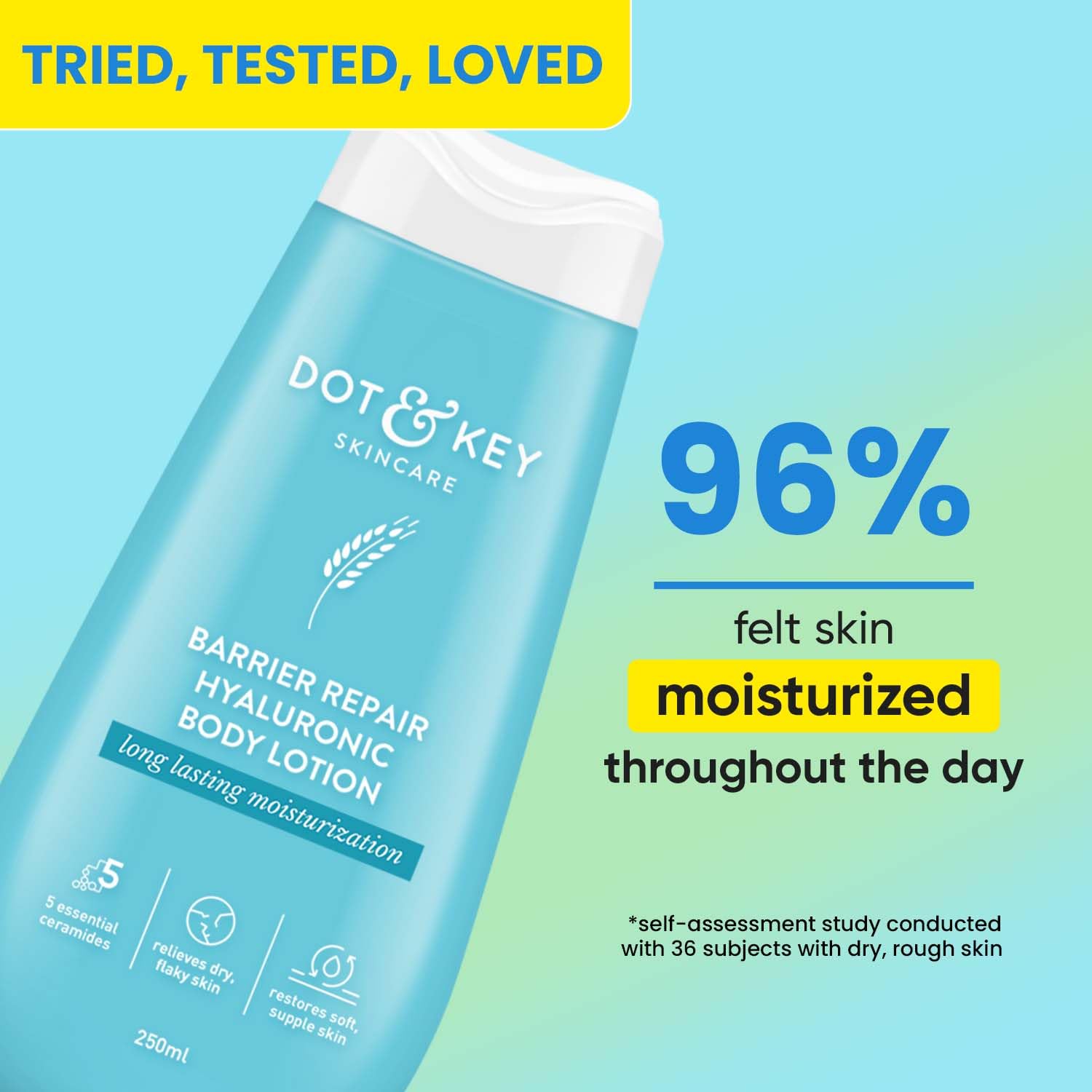 Dot & Key Blueberry Barrier Repair Body Lotion, deep hydration body care, blueberry skin strength