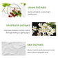 Lotus Herbals WhiteGlow Day and Night Pack, skincare kit, dual cream set