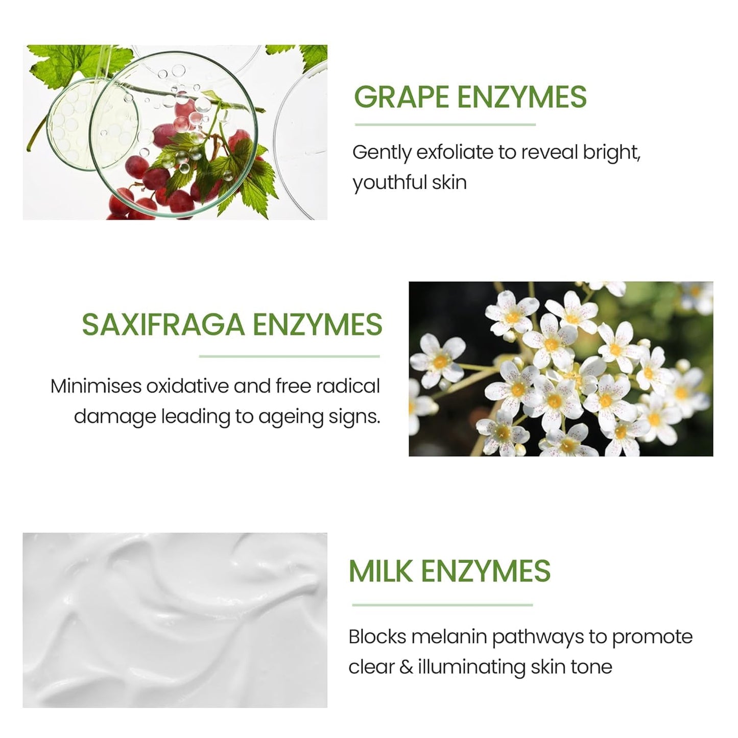 Lotus Herbals WhiteGlow Day and Night Pack, skincare kit, dual cream set