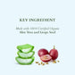 Lotus Organics Aloe Vera & Grape Seed Hydra Clean Face Wash|80 gms|MRP 295