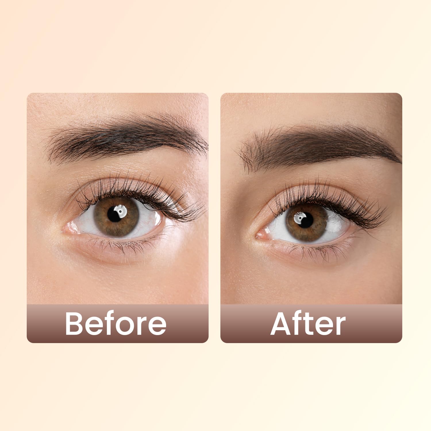 Swiss Beauty Eyebrow Definer Pencil Coco Brown |2 gms|MRP 149