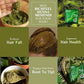 Richfeel Henna Mehendi Powder with Amla, Shikakai & Brahmi|100 gms|MRP 85