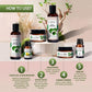 Richfeel Brahmi Jaborandi Hair & Scalp Care Kit|355 gms|MRP 1999