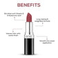 Renee Stunner Matte Lipstick - Brave Heart|4 gms|MRP 499