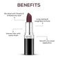 Renee Stunner Matte Lipstick - Merlot Mystery|4 gms|MRP 499