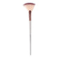 Swiss Beauty Fan Brush| |MRP 149