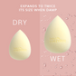 Daily Life Forever52 A Skin-Like Blend Pro Sponge MSP004| |MRP 449