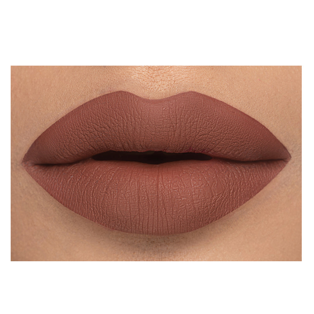 Daily Life Forever52 Velvet Rose Matte Lipstick Carnation-RS019|2.5 gms|MRP 799
