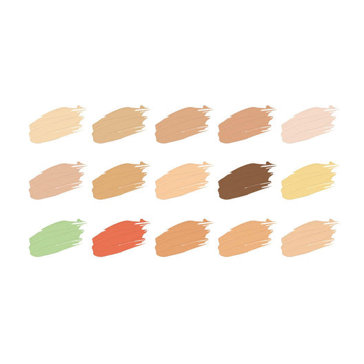 Swiss Beauty HD Professional Concealer Palette 01|18 gms|MRP 649