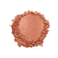 Swiss Beauty Professional Blusher 10 Rose Gold|6 gms|MRP 379
