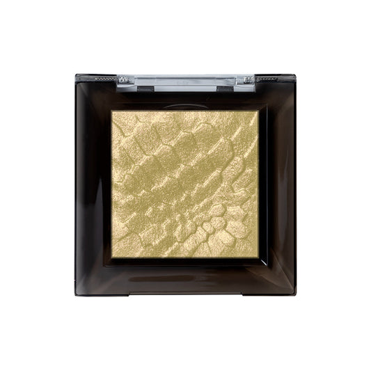 Daily Life Forever52 Sensational Ariel Glow Highlighter Shallow SNS-402|6 gms|MRP 549