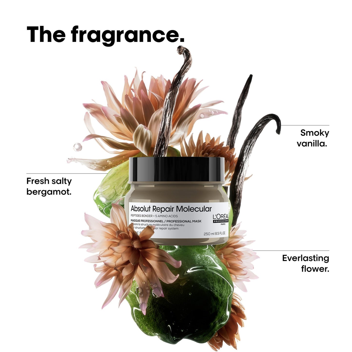 L'Oreal Professionnel Absolute Repair Molecular Mask|250 ml|MRP 1600