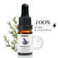Insight Rosemary Essential Oil|10 ml|MRP 240