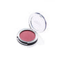 Faces Canada Perfect Blush - Hot Pink 02|5 gms|MRP 559