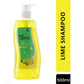 Olivia Lime Anti Dandruff Shampoo, scalp cleansing shampoo, fresh hair care